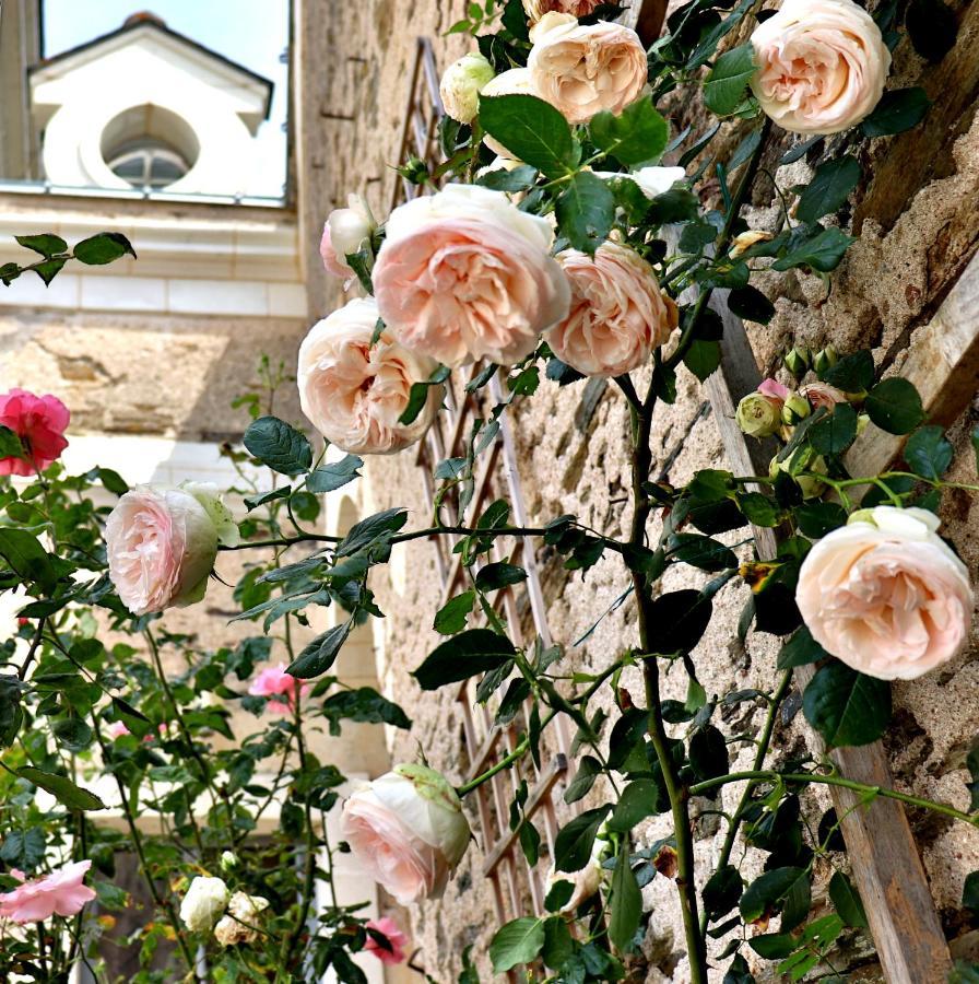 La Demeure De L'Aubance Bed and Breakfast Saint-Mélaine-sur-Aubance Eksteriør billede