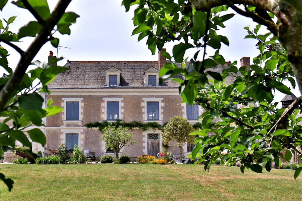 La Demeure De L'Aubance Bed and Breakfast Saint-Mélaine-sur-Aubance Eksteriør billede